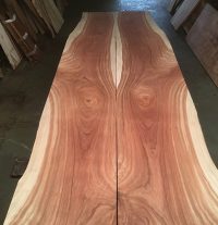 camphor laurel timber table top